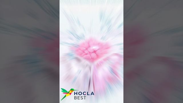 Бисер для стирки от Хогла Бест