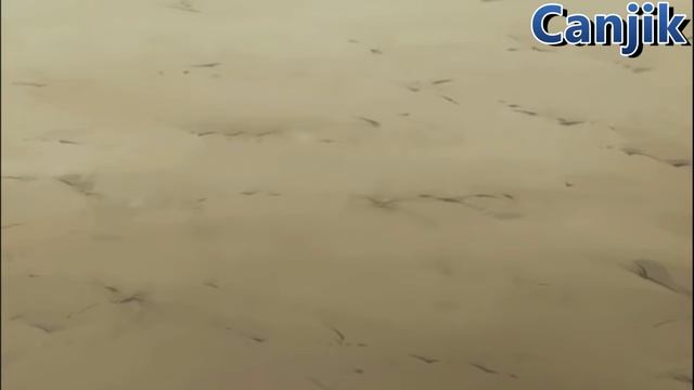 Elfman vs Bacchus AMV • Fading ♫♪