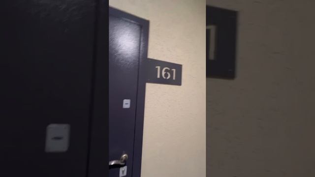video_2024-12-29_22-14-42