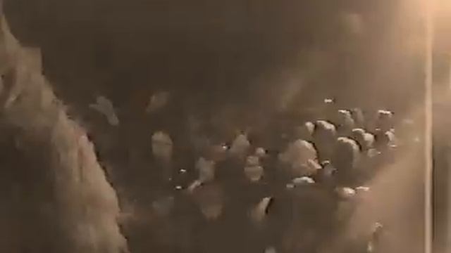 MENTAL HOME - Under The Wing (Official Video)