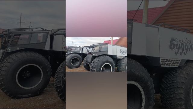 1000036485.mp4