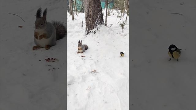 1000101340.mp4