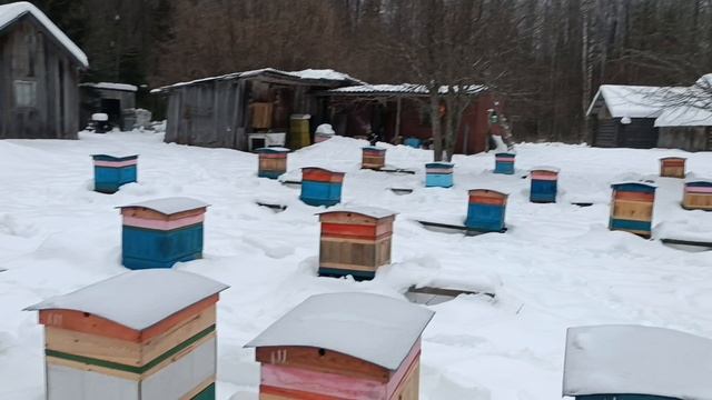 Контроль зимовки