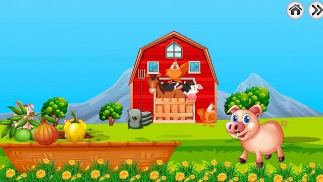 Детские и Развивающие