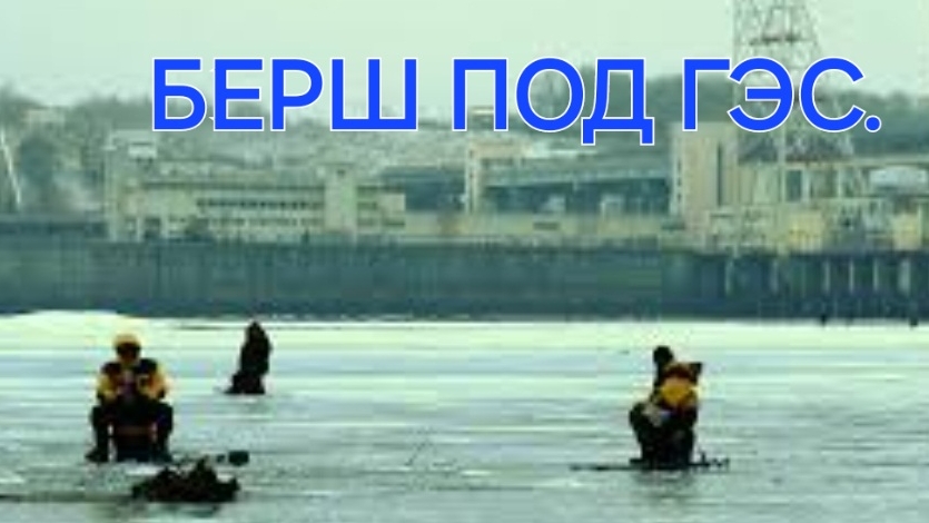 БЕРШ под Чебоксарской ГЭС.Рыбалка по быстрому.