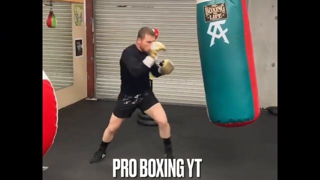 Canelo Alvarez Heavy Bag Training