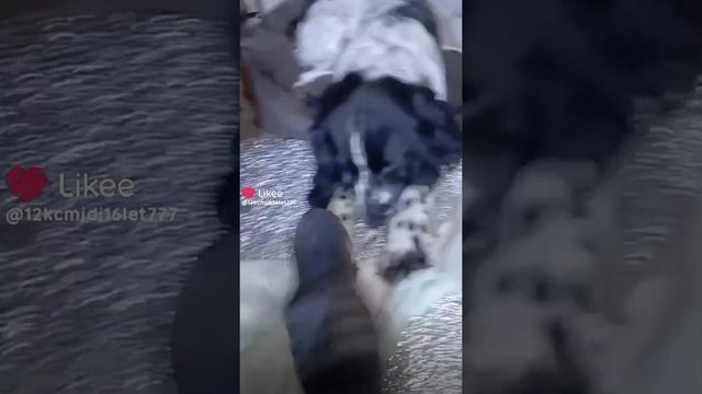 1000006627.mp4