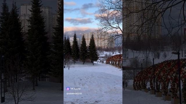 Зима