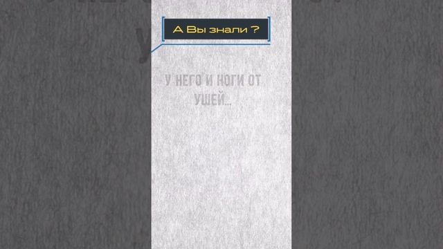 Что делать? Если стало грустно! #shorts