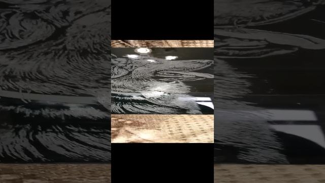 1000004491.mp4