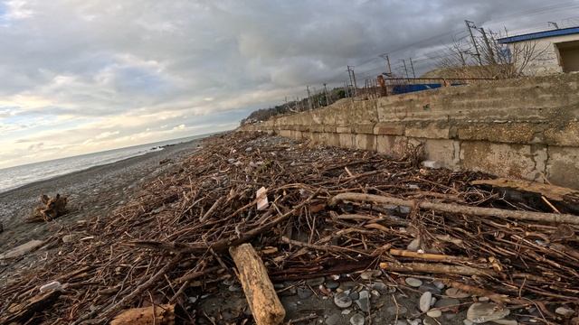 После шторма ветки, мусор выброшенный на берег Чёрного моря. Сочи, Якорная Щель.