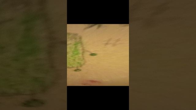 я огурчик # яогурчик