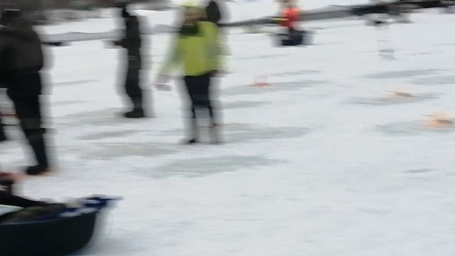 Светлые Горы Форель 29.12.2024г.