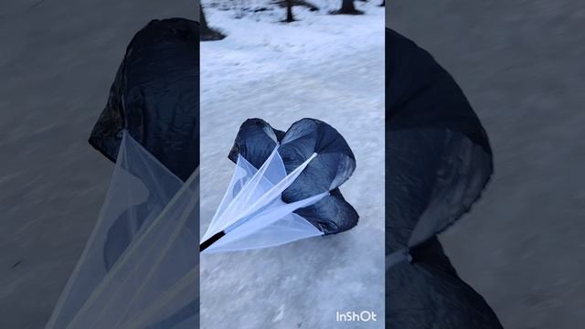 Тренировка 1 апреля 2024 год.
Тамбов.
Алексей 9 лет
Лев 7лет.
