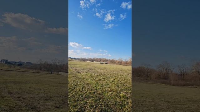 казазов 2.mp4