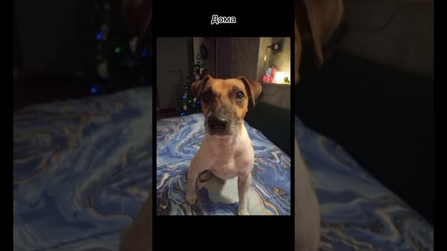 1000009771.mp4