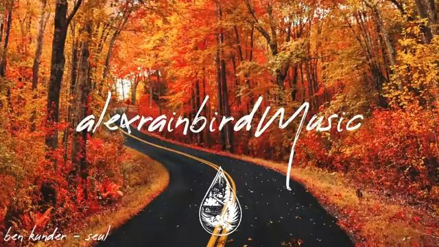 Indie_Indie-Folk Compilation - Autumn_Fall 2023 🍂 (2½-Hour Playlist)