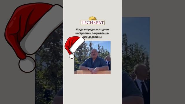 🎄 Когда завершаешь задачи в предновогоднем настроении
#сертификат #декларация