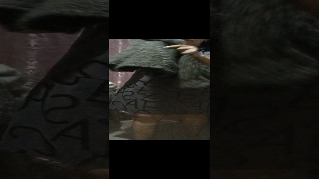 1000111646.mp4Пуховые платки у Ольги из Волгоградской области.
