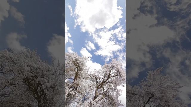 как украсить дом на Новый Год чтобы привлечь нужную энергию
