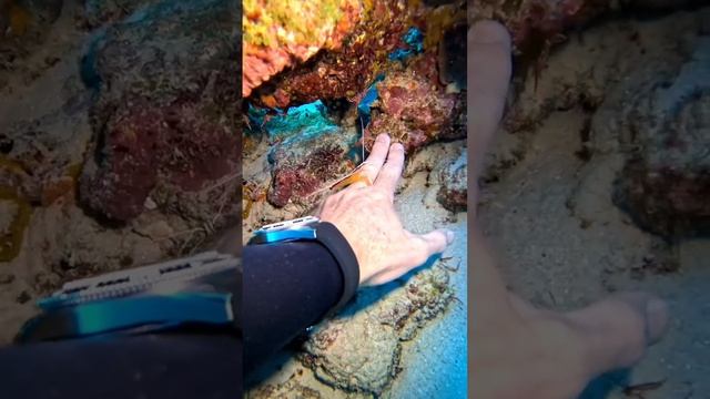 Подводный мир