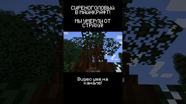 ЧТО? МЫ УМРЁМ? СИРЕНОГОЛОВЫЙ В MINECRAFT! #shorts