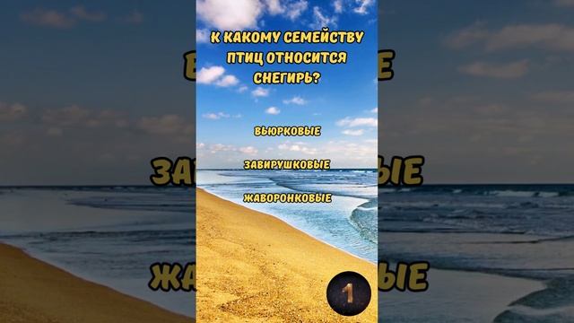 Викторина "Тест на эрудицию: Разнообразные вопросы" №9 #викторина #эрудиция #квиз #тест