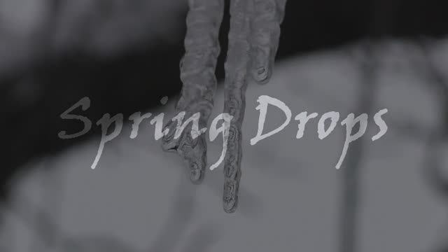 Spring Drops