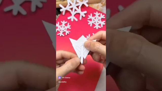 vkclips_20241228095354