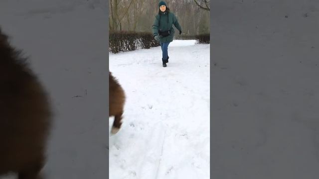 АО Феникс - ловит первые роллы, 7 месяцев
