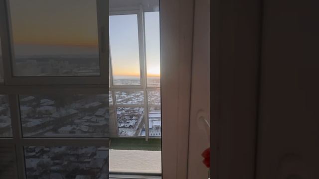 VID_20241228_161350_984.mp4.mov