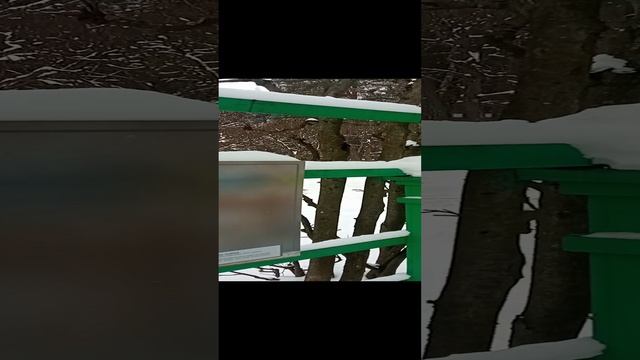 Продолжаю гулять в Архангельском