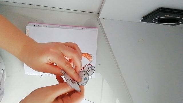 VID_20241229_135426.mp4