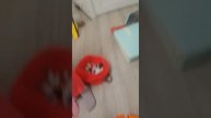 пауза Селена 1 часть
