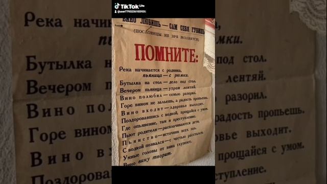 scene_output.mp4п