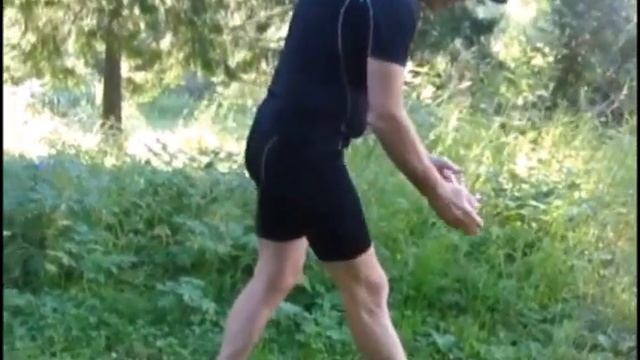 Шаговая имитация классического лыжного хода