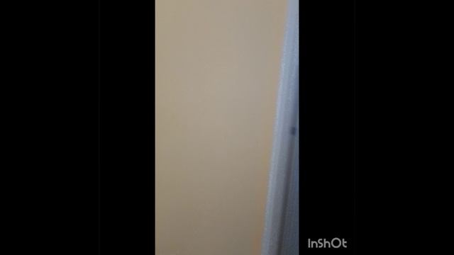 1ка, улица Маячная 17, новострой. Можно с ребенком и небольшим животным. 24+ку. +79787003279