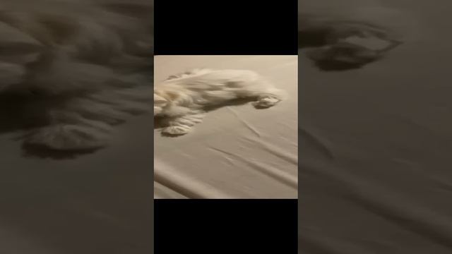 если  мы  играем  то вот-так)))