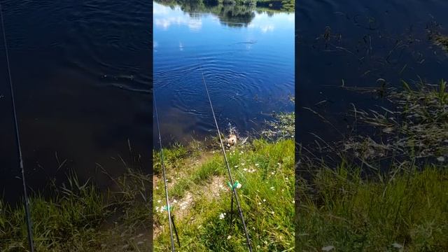 81f9f462-c392-44f5-a6d8-bca9658879ab-1_all_41115.mp4