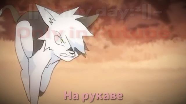 Опачке,коты воители подъехали🤑🤑🤑#warriorscats#wcue#Roblox#рек