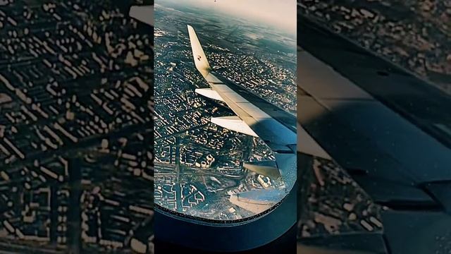 Так меня занесло в оптимисты #reels #top