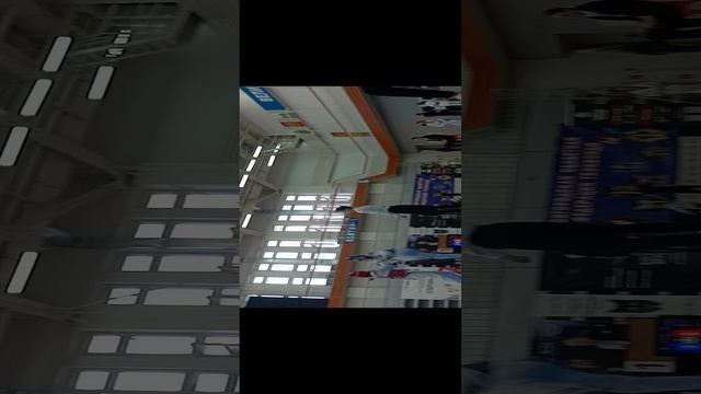 Тхэквондо WTF | Москва и Мо