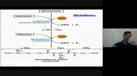 Glycine (One Carbon achiral) Metabolism Vital for Life (English)