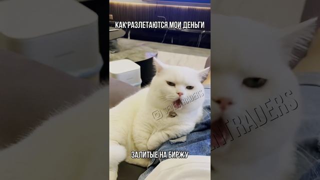 Как разлетаются мои деньги залитые на биржу