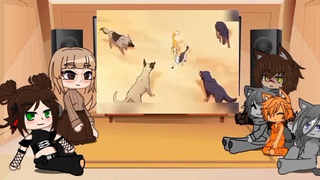 Реакция Котов Воителей и Двуногих на Видео по КВ