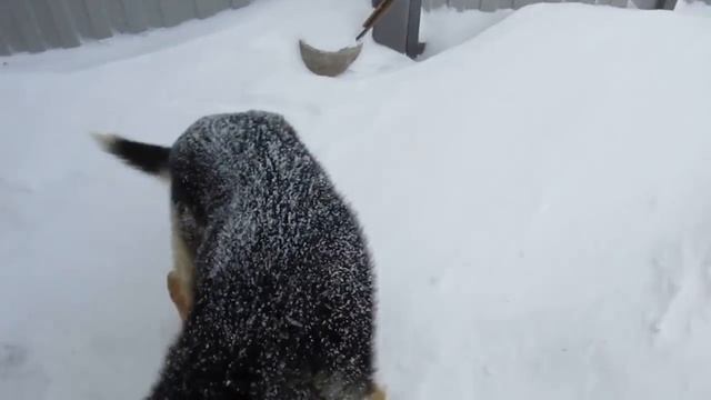 Капризы природы
