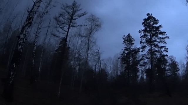 Весеняя охота 2017 "вальдшнеп на тяге"  часть 2