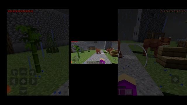 30-12-2024 Играю за пикселя первый раз