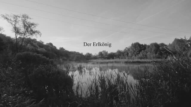 Der Erlkönig  (Лесной царь)