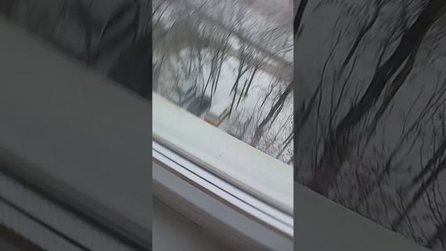 scene_output.mp4